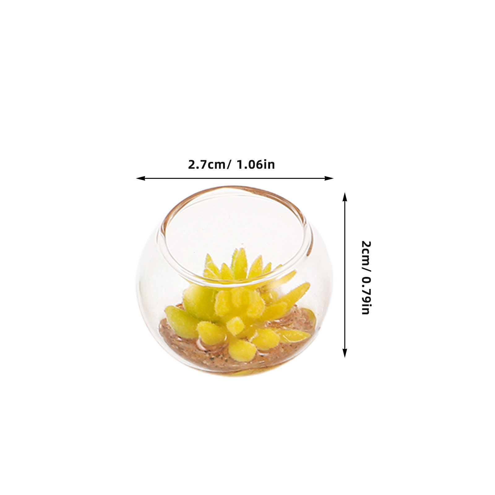 กระถางแก้วจิ๋ว 5 ชิ้น ต้นไม้ปร - Plant Pot บทวิจารณ์และราคา
