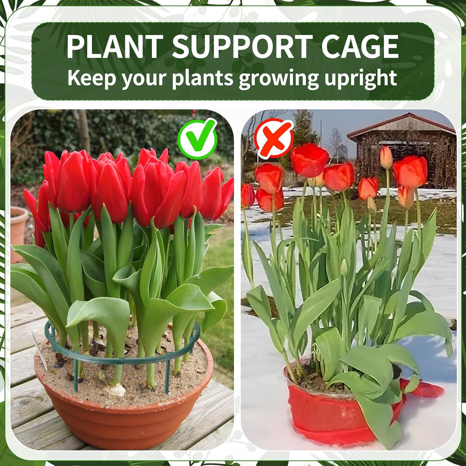 เสาค้ำต้นไม้ 1/16 ชิ้น สำหรับจ - Plant Support Stake บทวิจารณ์และราคา