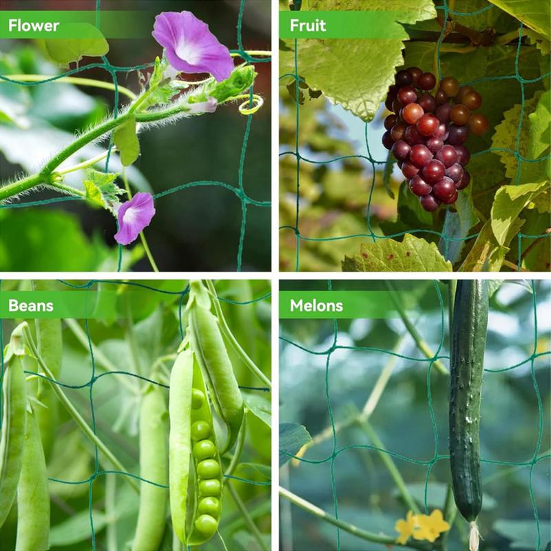 Trellis ตาข่ายสําหรับพืชปีนเขา - Plant Support Stake บทวิจารณ์และราคา