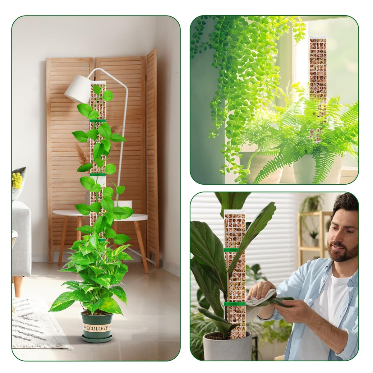 เสาพลาสติกสำหรับพืชเลื้อย สามา - Plant Support Stake บทวิจารณ์และราคา