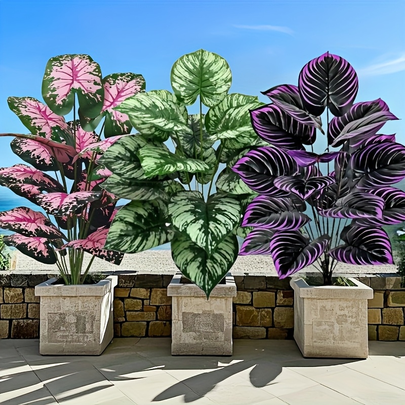 3 ชิ้น 60 เซนติเมตรขนาดใหญ่พืช - Fiddle Leaf Fig บทวิจารณ์และราคา