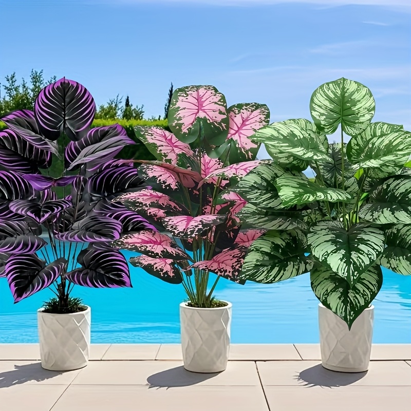3 ชิ้น 60 เซนติเมตรขนาดใหญ่พืช - Fiddle Leaf Fig บทวิจารณ์และราคา