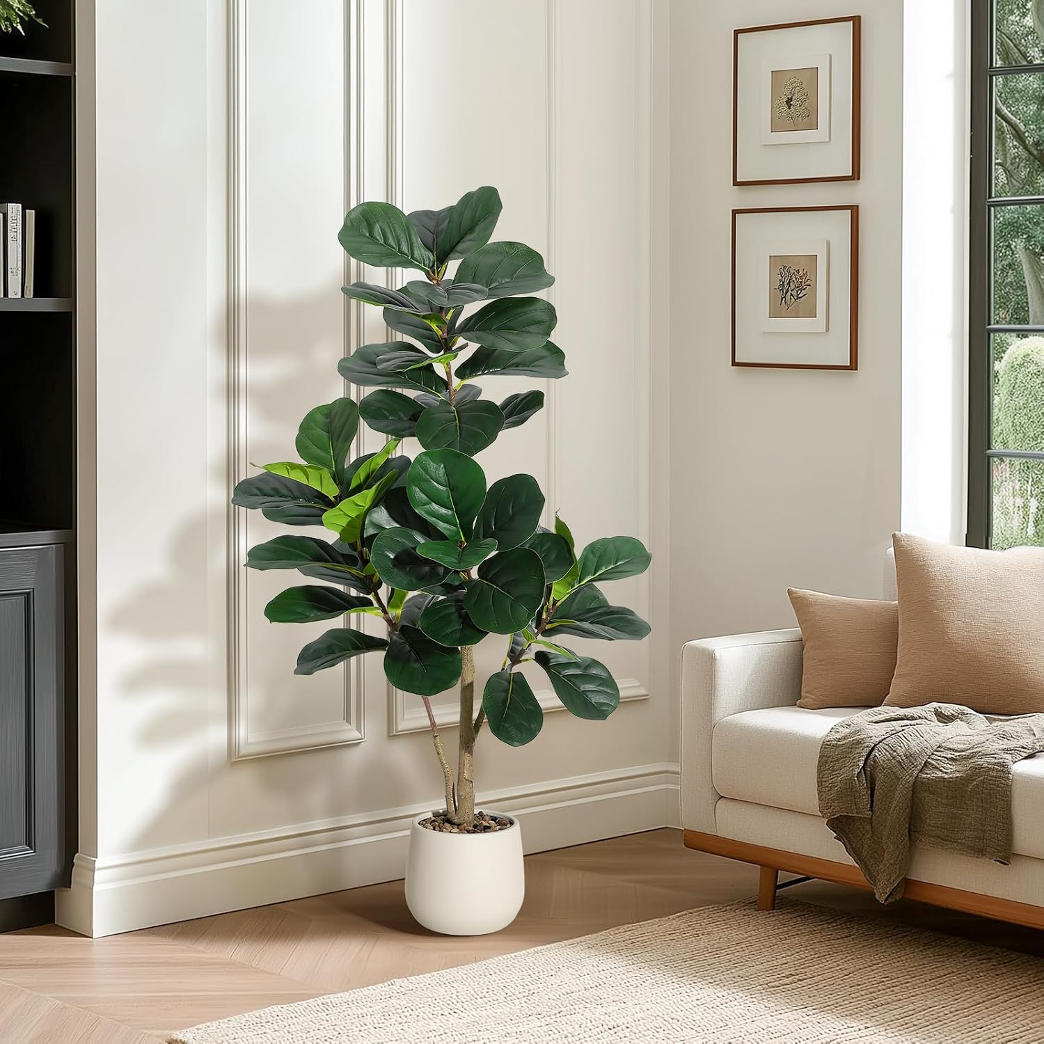 ต้นไทรใบฟิดเดิล ขนาด 4 ฟุต แบบ - Fiddle Leaf Fig บทวิจารณ์และราคา