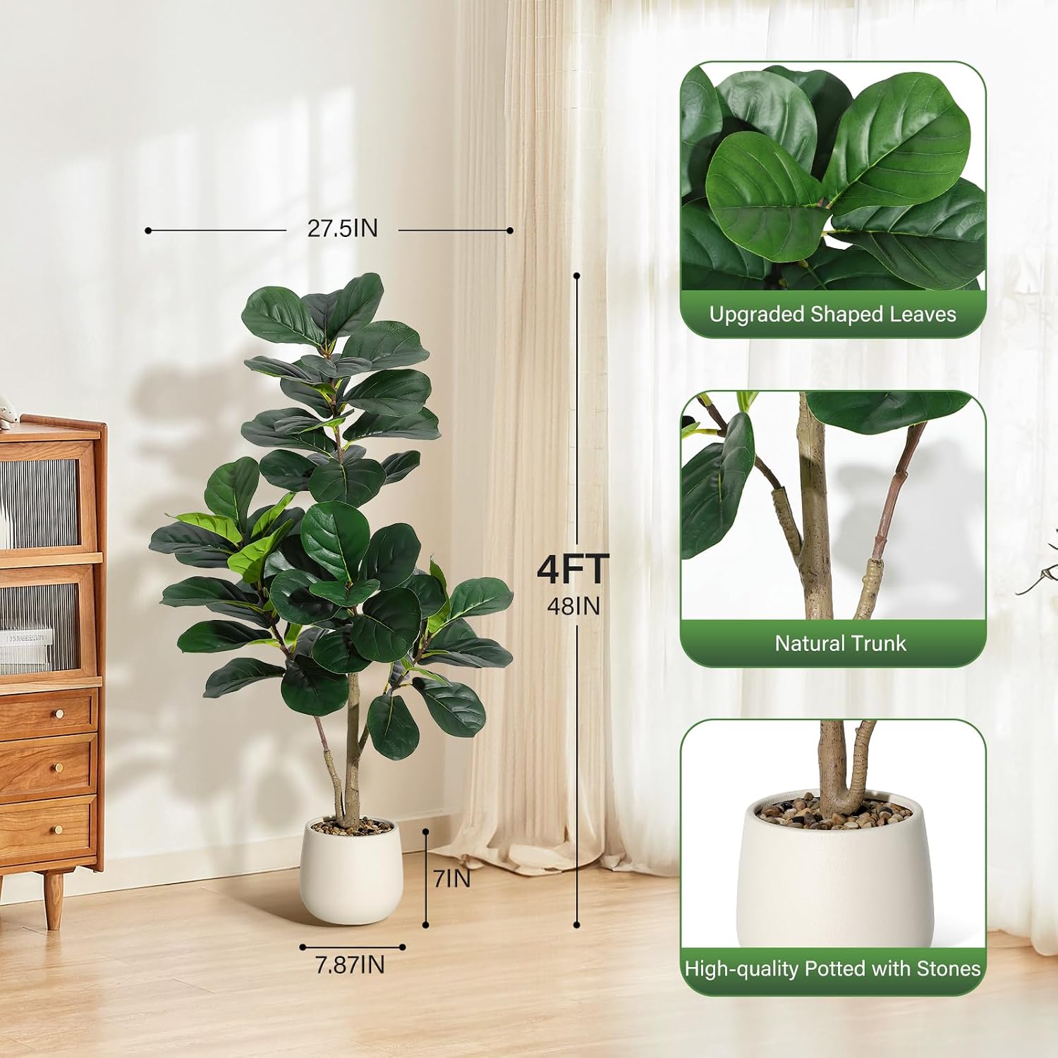ต้นไทรใบฟิดเดิล ขนาด 4 ฟุต แบบ - Fiddle Leaf Fig บทวิจารณ์และราคา
