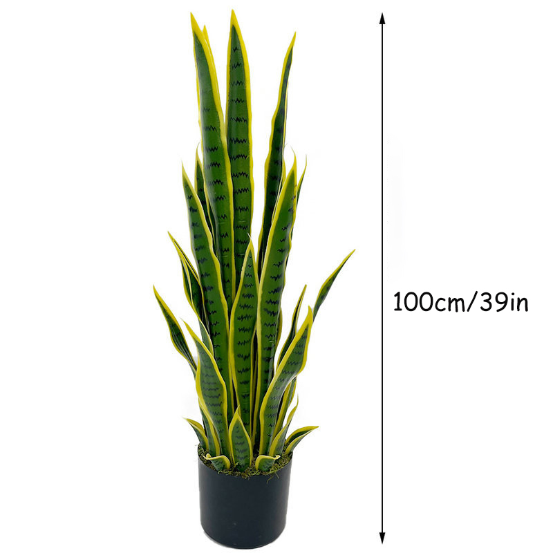 ต้นงูเหลือมปลอมขนาด 40-100 ซม. - Snake Plant บทวิจารณ์และราคา