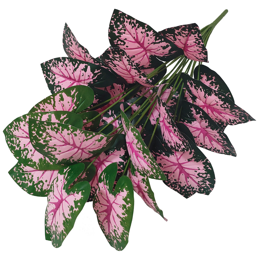 สีชมพู Leaf Potted พืชปลอมพืชป - Snake Plant บทวิจารณ์และราคา
