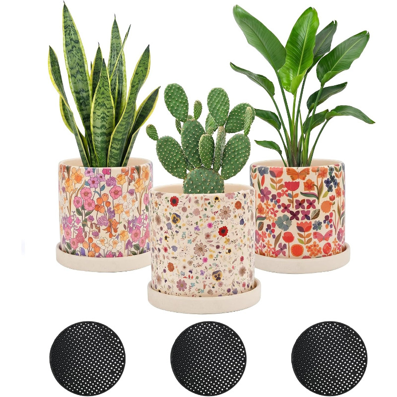 กระถางเซรามิกลายดอกไม้ 3 ชิ้น  - Snake Plant Ceramic บทวิจารณ์และราคา