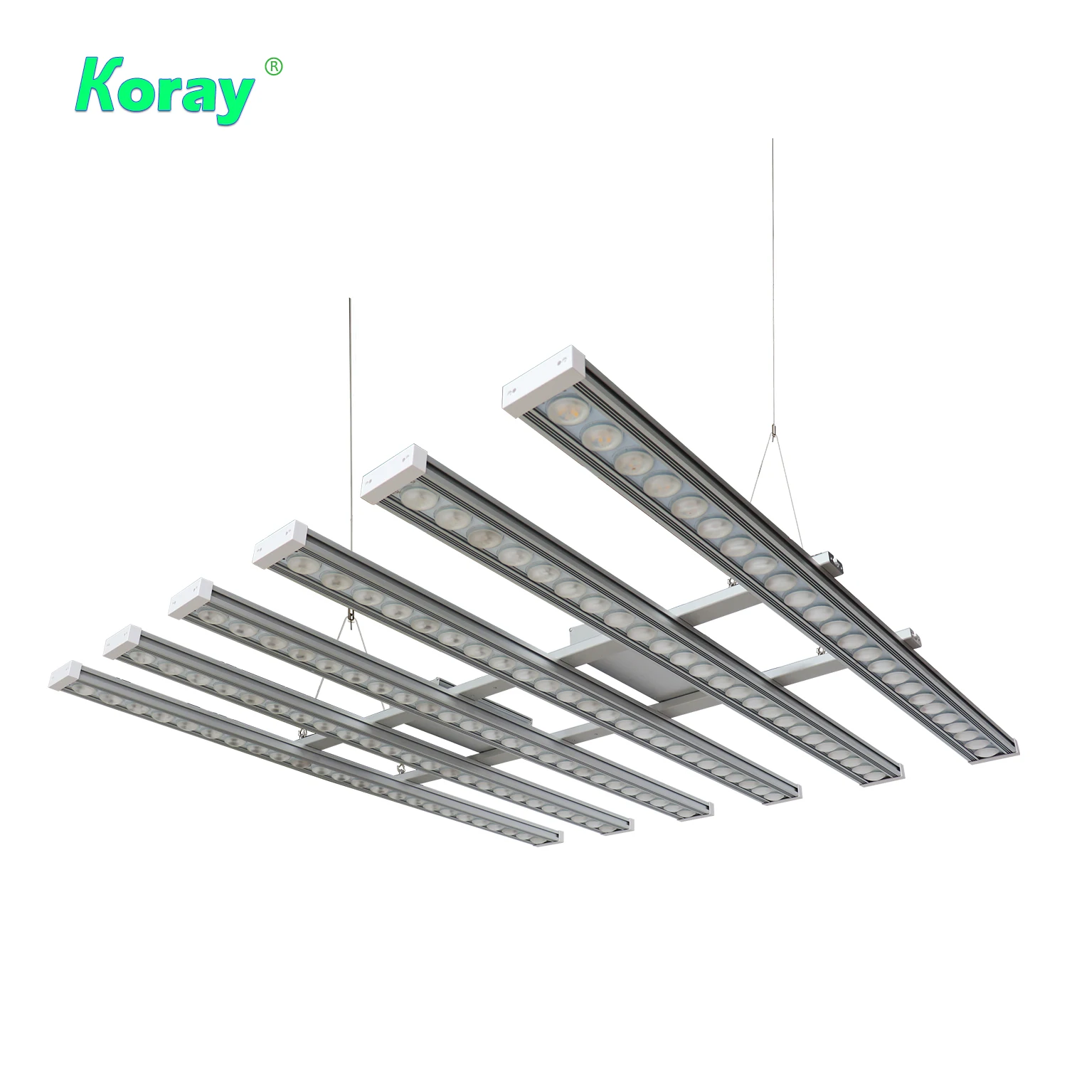 ไฟปลูกต้นไม้ในร่ม Koray 900W แ - Indoor Plants บทวิจารณ์และราคา