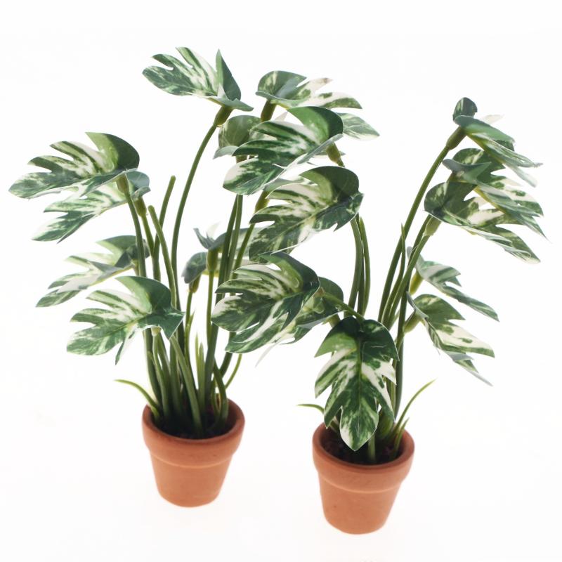ใหม่! ต้นมอนสเตอร่าจำลอง 1 ชิ้ - Plant Pot บทวิจารณ์และราคา