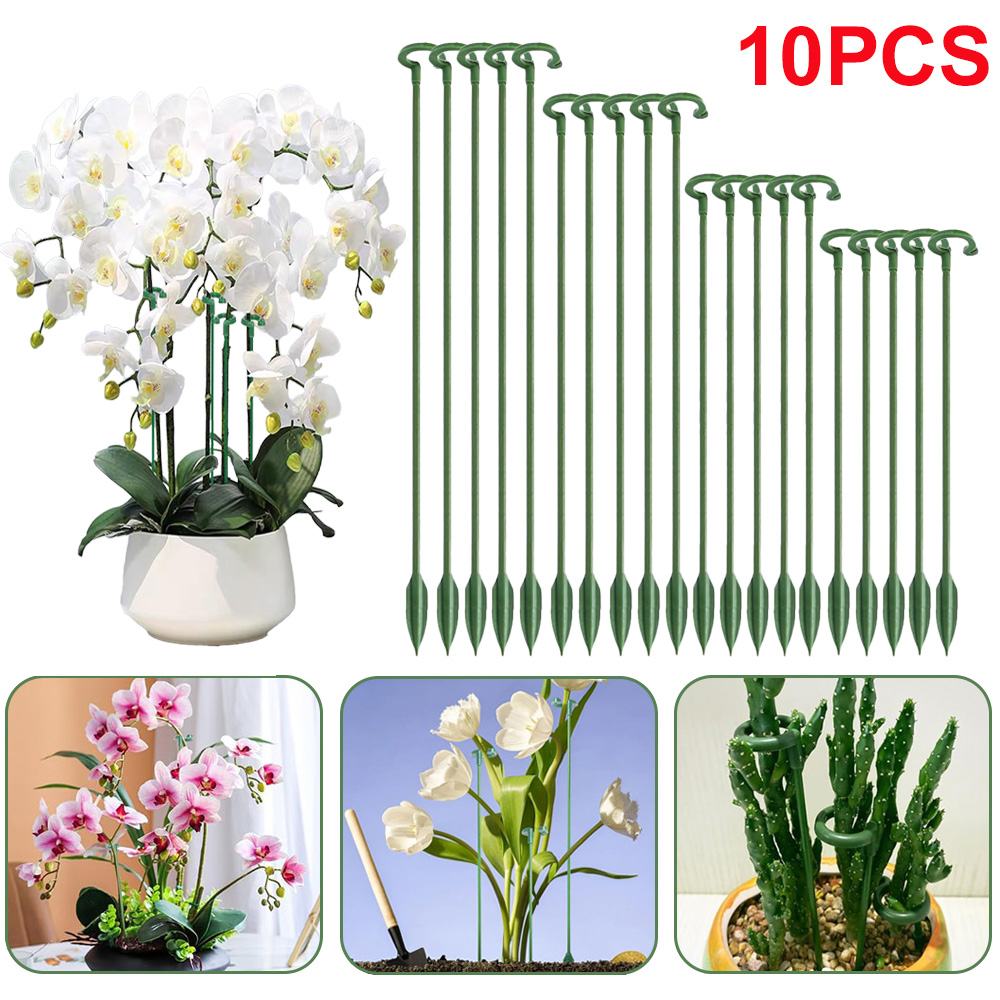 เสาค้ำต้นไม้ 5/10 ชิ้น สำหรับย - Plant Support Stake บทวิจารณ์และราคา